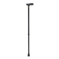 Walking stick (Cane)