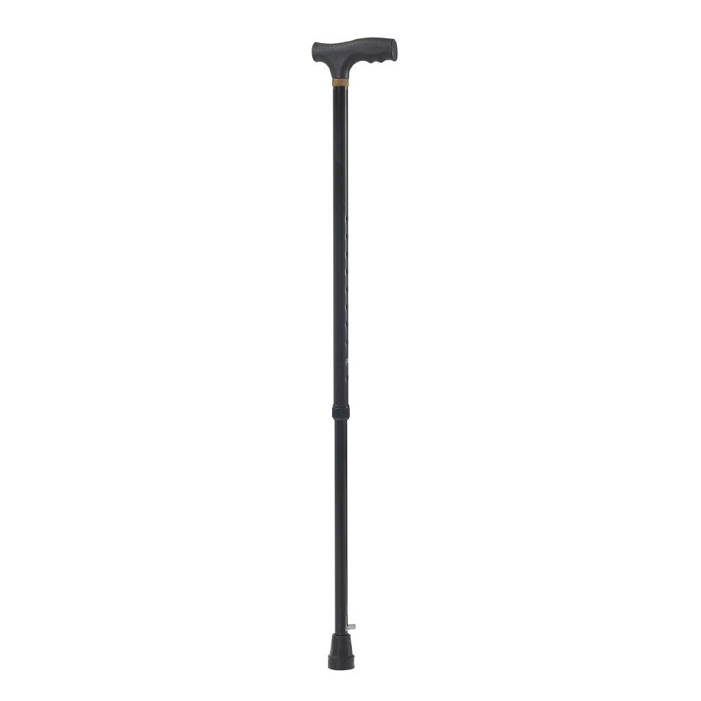 Walking stick (Cane)