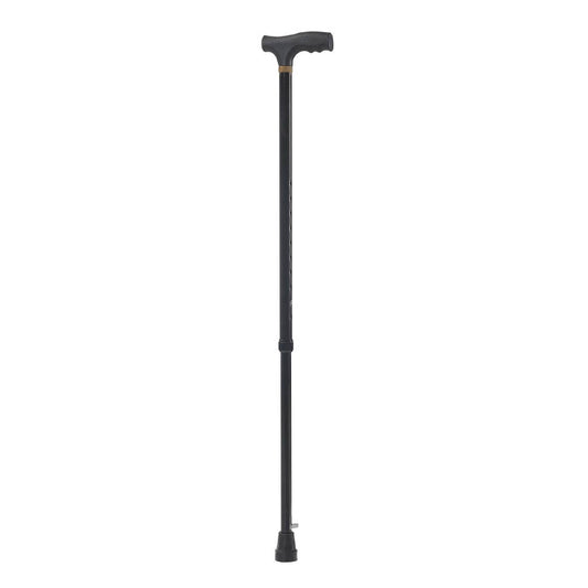 Walking stick (Cane)