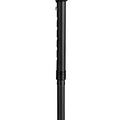 Quad Walking Stick